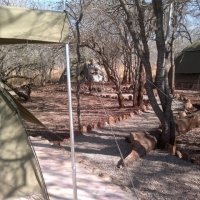 Shayamoyas tented bush camp 1.JPG